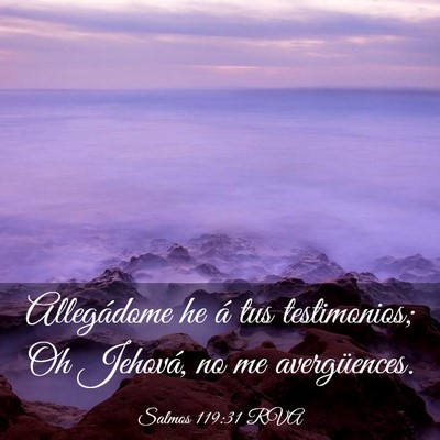 Picture 03 - Salmos 119:31 RVA - Allegádome he á tus testimonios; Oh Jehová, no - Bible Verse Picture