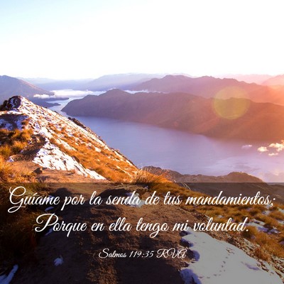 Picture 03 - Salmos 119:35 RVA - Guíame por la senda de tus mandamientos; Porque - Bible Verse Picture