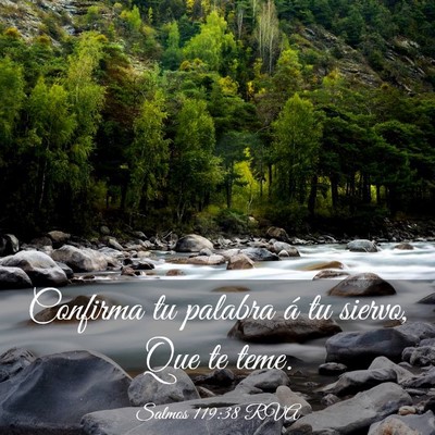Picture 03 - Salmos 119:38 RVA - Confirma tu palabra á tu siervo, Que te - Bible Verse Picture