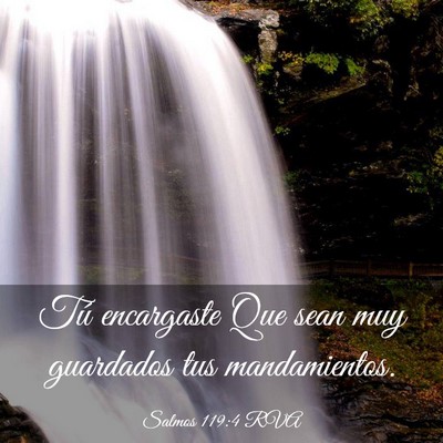 Picture 03 - Salmos 119:4 RVA - Tú encargaste Que sean muy guardados tus - Bible Verse Picture