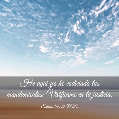 Picture 03 - Salmos 119:40 RVA - He aquí yo he codiciado tus mandamientos: - Bible Verse Picture