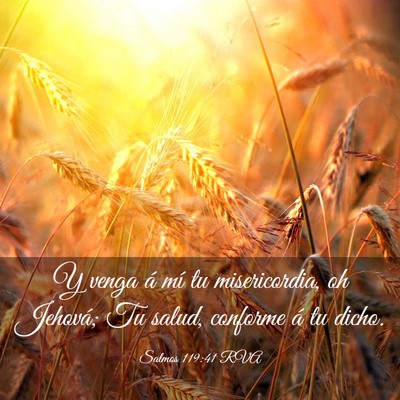 Picture 03 - Salmos 119:41 RVA - Y venga á mí tu misericordia, oh Jehová; Tu - Bible Verse Picture