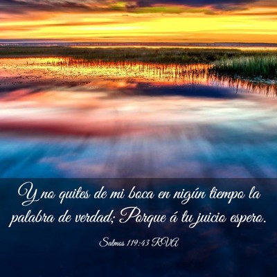 Picture 03 - Salmos 119:43 RVA - Y no quites de mi boca en nigún tiempo la - Bible Verse Picture