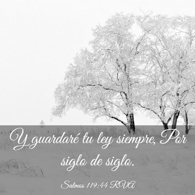 Picture 03 - Salmos 119:44 RVA - Y guardaré tu ley siempre, Por siglo de - Bible Verse Picture