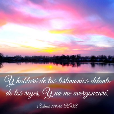 Picture 03 - Salmos 119:46 RVA - Y hablaré de tus testimonios delante de los - Bible Verse Picture