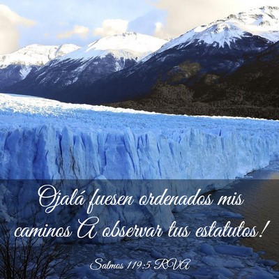 Picture 03 - Salmos 119:5 RVA - Ojalá fuesen ordenados mis caminos A observar - Bible Verse Picture