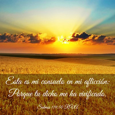 Picture 03 - Salmos 119:50 RVA - Esta es mi consuelo en mi aflicción: Porque tu - Bible Verse Picture