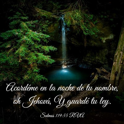 Picture 03 - Salmos 119:55 RVA - Acordéme en la noche de tu nombre, oh Jehová, Y - Bible Verse Picture