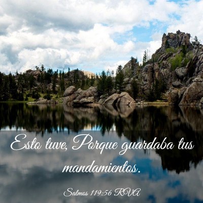 Picture 03 - Salmos 119:56 RVA - Esto tuve, Porque guardaba tus - Bible Verse Picture