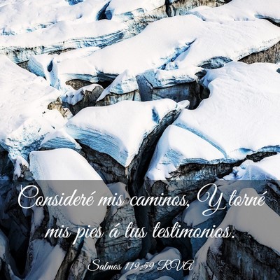 Picture 03 - Salmos 119:59 RVA - Consideré mis caminos, Y torné mis pies á tus - Bible Verse Picture