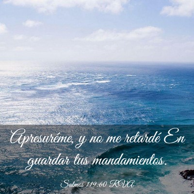 Picture 03 - Salmos 119:60 RVA - Apresuréme, y no me retardé En guardar tus - Bible Verse Picture