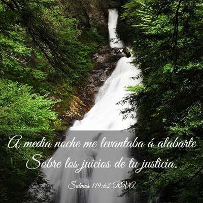 Picture 03 - Salmos 119:62 RVA - A media noche me levantaba á alabarte Sobre los - Bible Verse Picture
