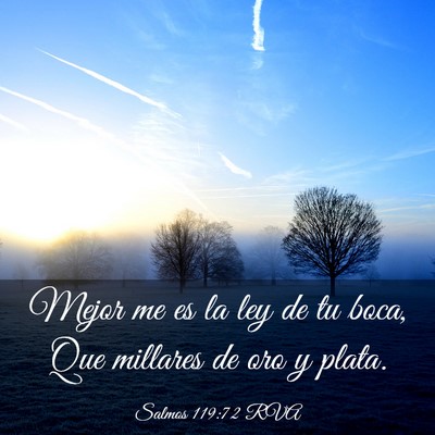 Picture 03 - Salmos 119:72 RVA - Mejor me es la ley de tu boca, Que millares de - Bible Verse Picture