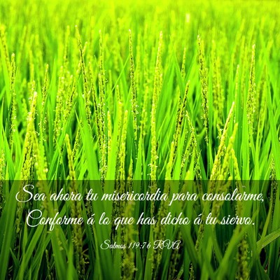 Picture 03 - Salmos 119:76 RVA - Sea ahora tu misericordia para consolarme, - Bible Verse Picture