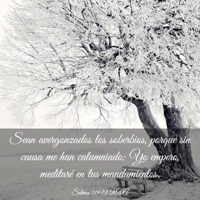 Picture 03 - Salmos 119:78 RVA - Sean avergonzados los soberbios, porque sin causa - Bible Verse Picture