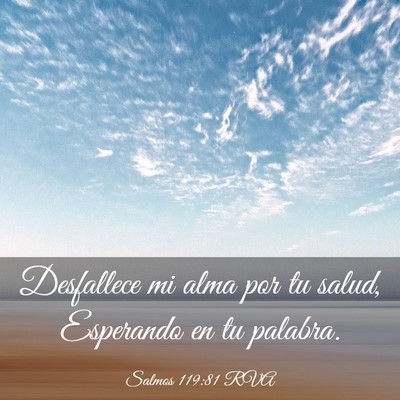 Picture 03 - Salmos 119:81 RVA - Desfallece mi alma por tu salud, Esperando en tu - Bible Verse Picture