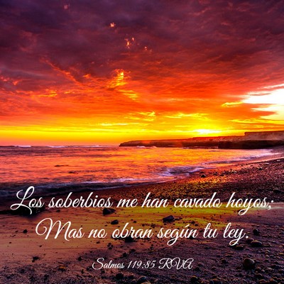 Picture 03 - Salmos 119:85 RVA - Los soberbios me han cavado hoyos; Mas no obran - Bible Verse Picture