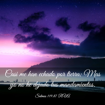 Picture 03 - Salmos 119:87 RVA - Casi me han echado por tierra: Mas yo no he - Bible Verse Picture