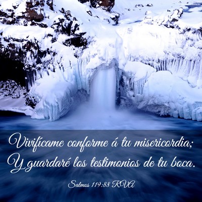 Picture 03 - Salmos 119:88 RVA - Vivifícame conforme á tu misericordia; Y - Bible Verse Picture