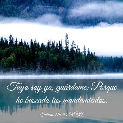 Picture 03 - Salmos 119:94 RVA - Tuyo soy yo, guárdame; Porque he buscado tus - Bible Verse Picture