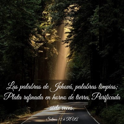 Picture 03 - Salmos 12:6 RVA - Las palabras de Jehová, palabras limpias; Plata - Bible Verse Picture