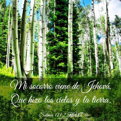 Picture 03 - Salmos 121:2 RVA - Mi socorro viene de Jehová, Que hizo los cielos - Bible Verse Picture