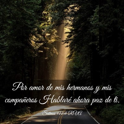 Picture 03 - Salmos 122:8 RVA - Por amor de mis hermanos y mis compañeros - Bible Verse Picture