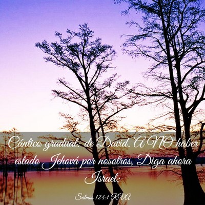 Picture 03 - Salmos 124:1 RVA - Cántico gradual: de David. A NO haber estado - Bible Verse Picture