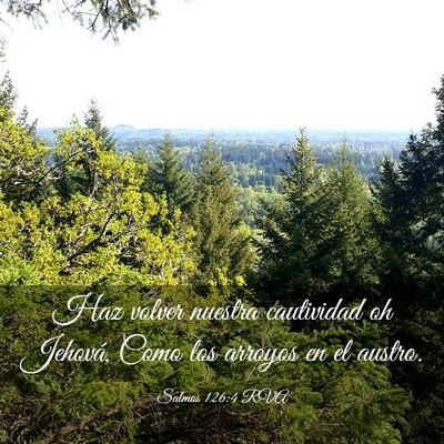 Picture 03 - Salmos 126:4 RVA - Haz volver nuestra cautividad oh Jehová, Como - Bible Verse Picture