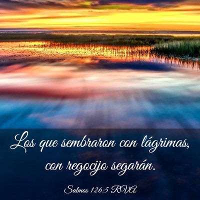 Picture 03 - Salmos 126:5 RVA - Los que sembraron con lágrimas, con regocijo - Bible Verse Picture