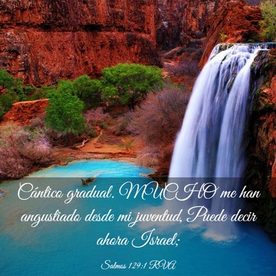 Picture 03 - Salmos 129:1 RVA - Cántico gradual. MUCHO me han angustiado desde - Bible Verse Picture