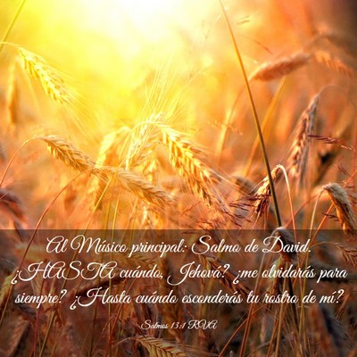 Picture 03 - Salmos 13:1 RVA - Al Músico principal: Salmo de David. ¿HASTA - Bible Verse Picture