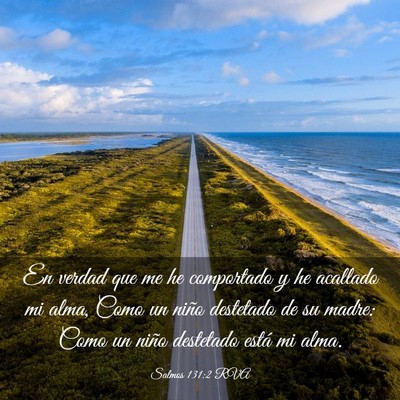 Picture 03 - Salmos 131:2 RVA - En verdad que me he comportado y he acallado mi - Bible Verse Picture
