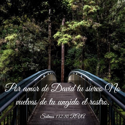 Picture 03 - Salmos 132:10 RVA - Por amor de David tu siervo No vuelvas de tu - Bible Verse Picture