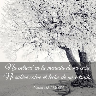 Picture 03 - Salmos 132:3 RVA - No entraré en la morada de mi casa, Ni subiré - Bible Verse Picture