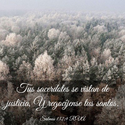 Picture 03 - Salmos 132:9 RVA - Tus sacerdotes se vistan de justicia, Y - Bible Verse Picture