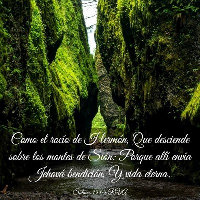 Picture 03 - Salmos 133:3 RVA - Como el rocío de Hermón, Que desciende sobre - Bible Verse Picture