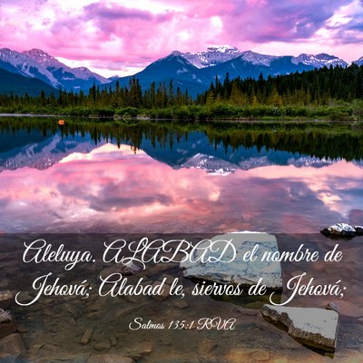 Picture 03 - Salmos 135:1 RVA - Aleluya. ALABAD el nombre de Jehová; Alabad le, - Bible Verse Picture