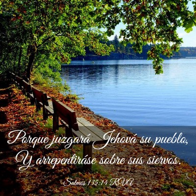 Picture 03 - Salmos 135:14 RVA - Porque juzgará Jehová su pueblo, Y - Bible Verse Picture