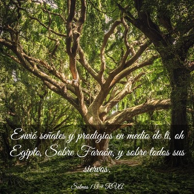 Picture 03 - Salmos 135:9 RVA - Envió señales y prodigios en medio de ti, oh - Bible Verse Picture