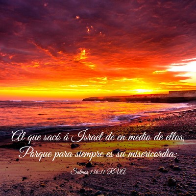 Picture 03 - Salmos 136:11 RVA - Al que sacó á Israel de en medio de ellos, - Bible Verse Picture