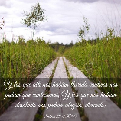 Picture 03 - Salmos 137:3 RVA - Y los que allí nos habían llevado cautivos nos - Bible Verse Picture