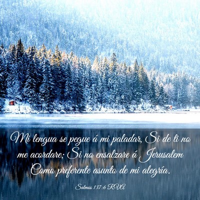 Picture 03 - Salmos 137:6 RVA - Mi lengua se pegue á mi paladar, Si de ti no me - Bible Verse Picture