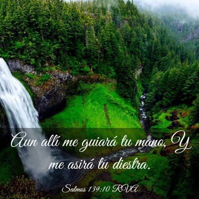 Picture 03 - Salmos 139:10 RVA - Aun allí me guiará tu mano, Y me asirá tu - Bible Verse Picture