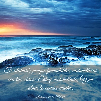 Picture 03 - Salmos 139:14 RVA - Te alabaré; porque formidables, maravillosas son - Bible Verse Picture