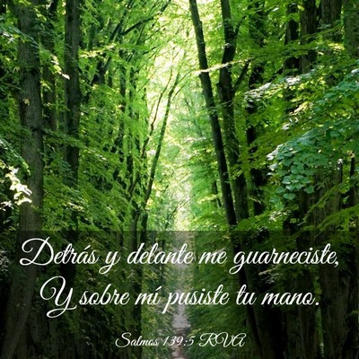 Picture 03 - Salmos 139:5 RVA - Detrás y delante me guarneciste, Y sobre mí - Bible Verse Picture