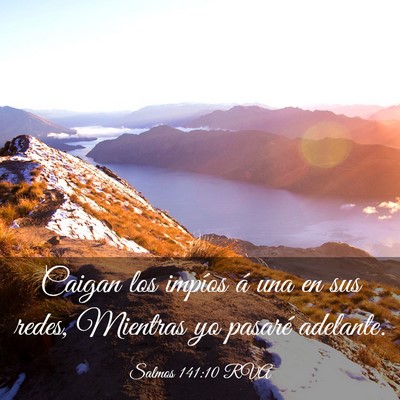 Picture 03 - Salmos 141:10 RVA - Caigan los impíos á una en sus redes, Mientras - Bible Verse Picture