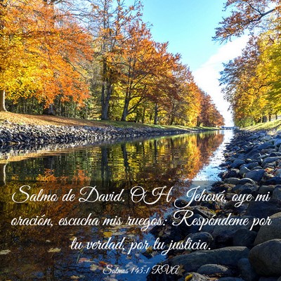 Picture 03 - Salmos 143:1 RVA - Salmo de David. OH Jehová, oye mi oración, - Bible Verse Picture