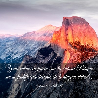 Picture 03 - Salmos 143:2 RVA - Y no entres en juicio con tu siervo; Porque no se - Bible Verse Picture