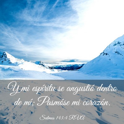 Picture 03 - Salmos 143:4 RVA - Y mi espíritu se angustió dentro de mí; - Bible Verse Picture